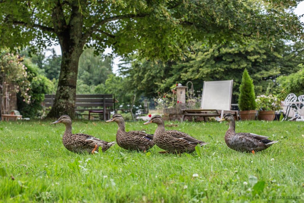 La Ferme De Marie Eugenie Bed & Breakfast Bruailles Eksteriør bilde