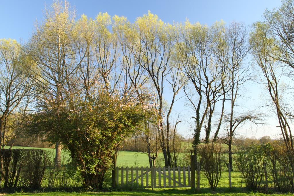 La Ferme De Marie Eugenie Bed & Breakfast Bruailles Eksteriør bilde